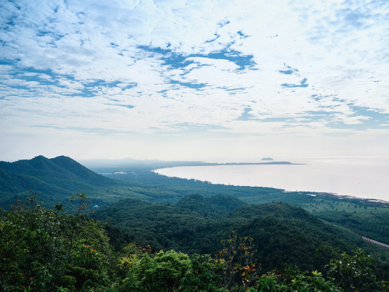 Experience the 4 aspects of Chumphon: View the sea of mist on top of ...