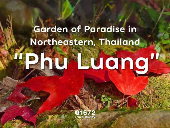 "Phu Luang" Garden of Paradise in the Northeastern of Thailand