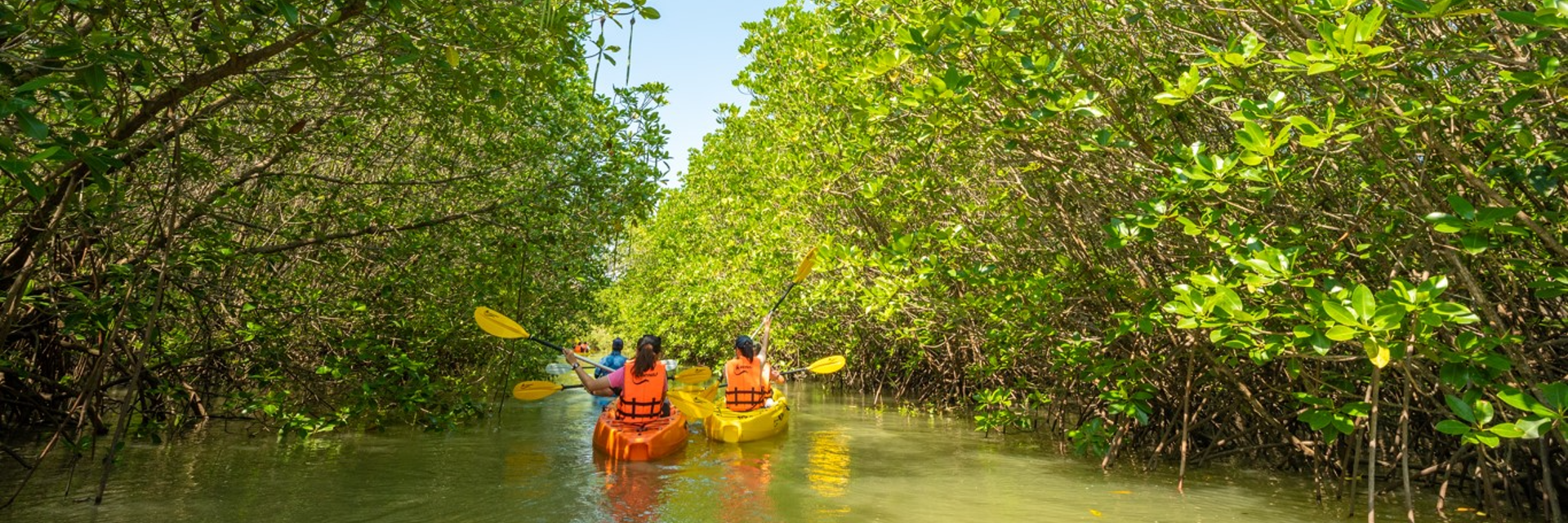 อุทยานสิ่งแวดล้อมนานาชาติสิรินธร