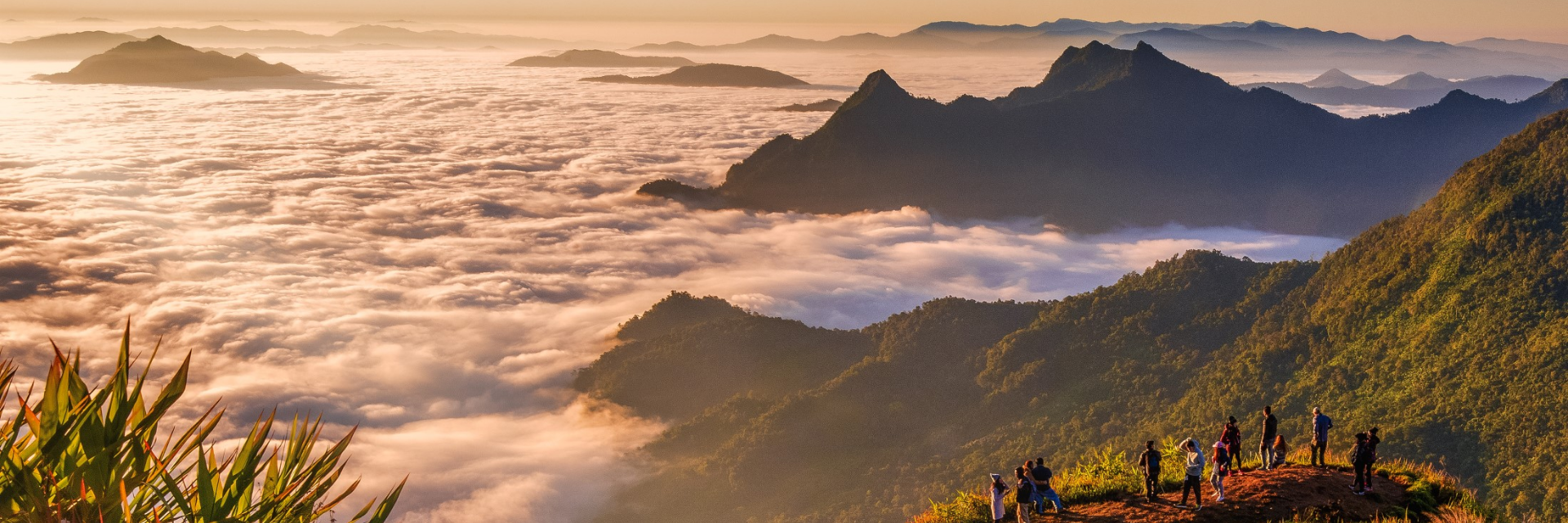 ประกาศยกเว้นค่าบริการเข้าอุทยานแห่งชาติ และวนอุทยานสำหรับบุคคลชาวไทยและยานพาหนะ