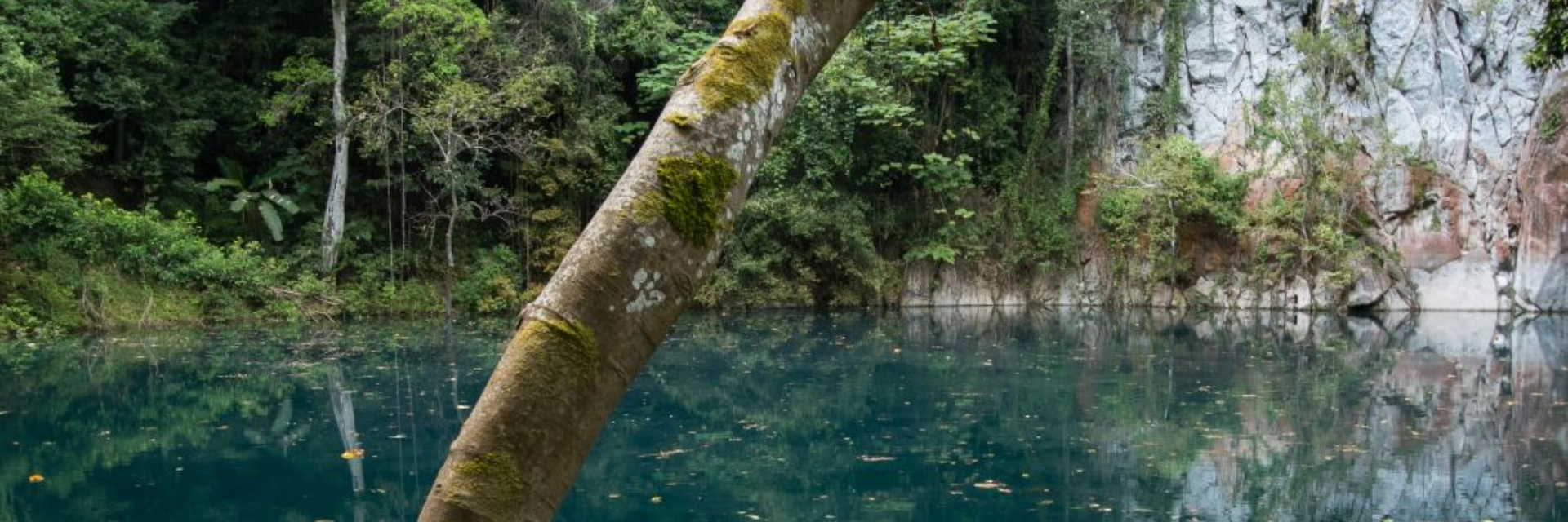 กำลังใจส่งไทยยิ้ม ททท. Thai