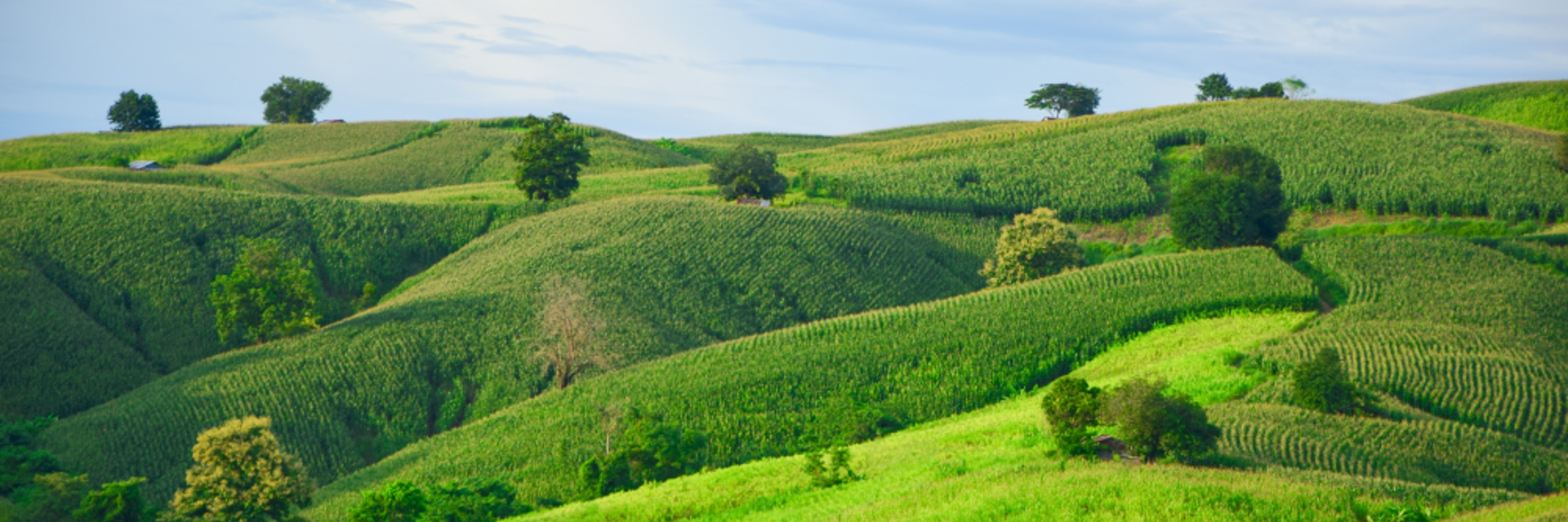 Green Route ... Phrae