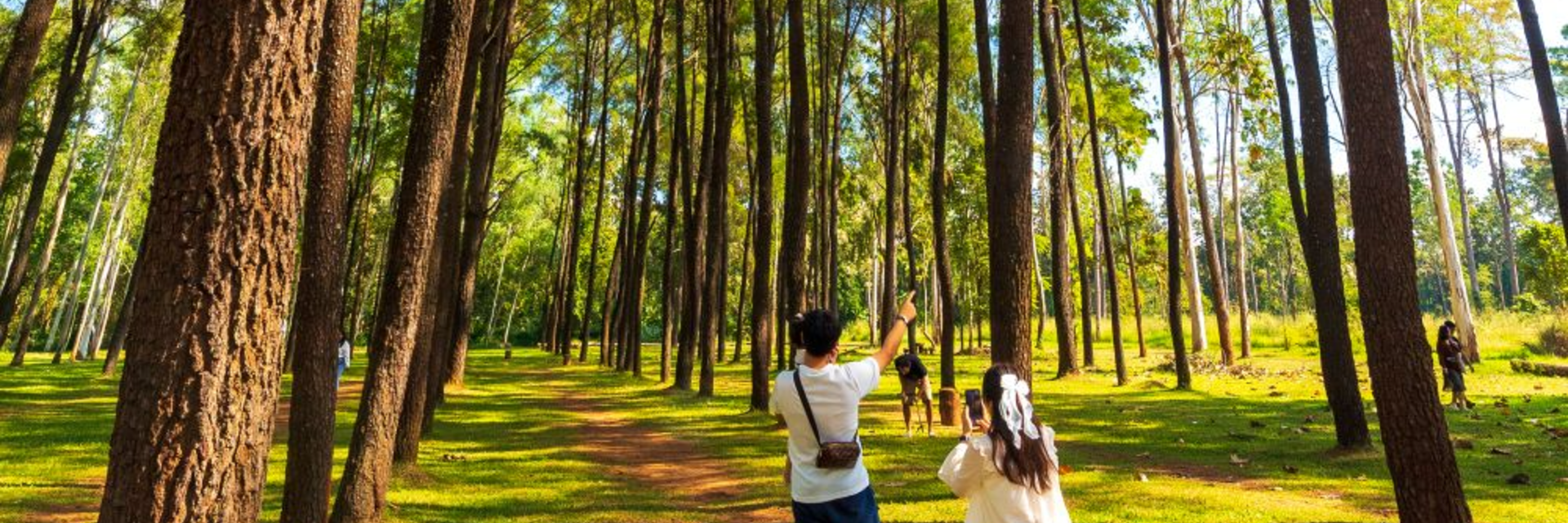 Self-Driving Chiang Mai Itinerary 3 Days 2 Nights