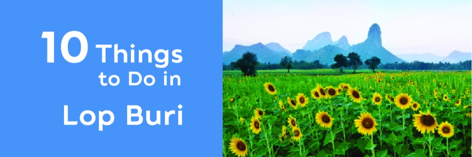 10 THINGS TO DO IN LOP BURI