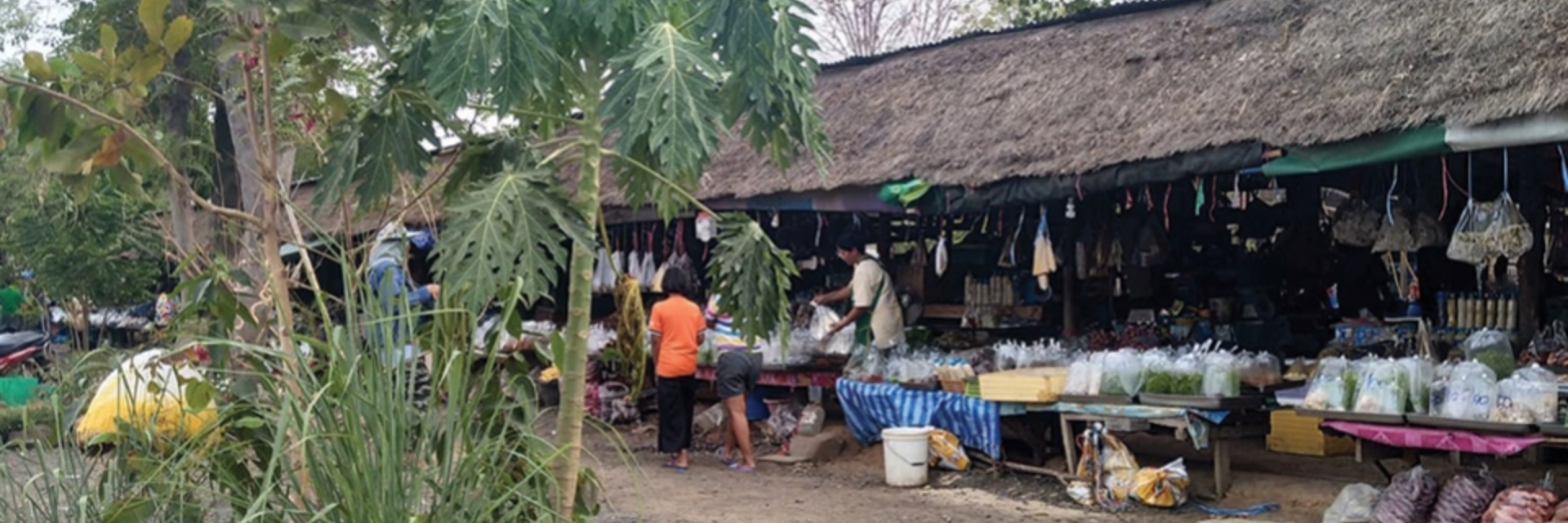 แวะซื้อของป่า อาหารถิ่น ณ ตลาดวิถีชุมชนโคกอีโด่ย จ.บุรีรัมย์