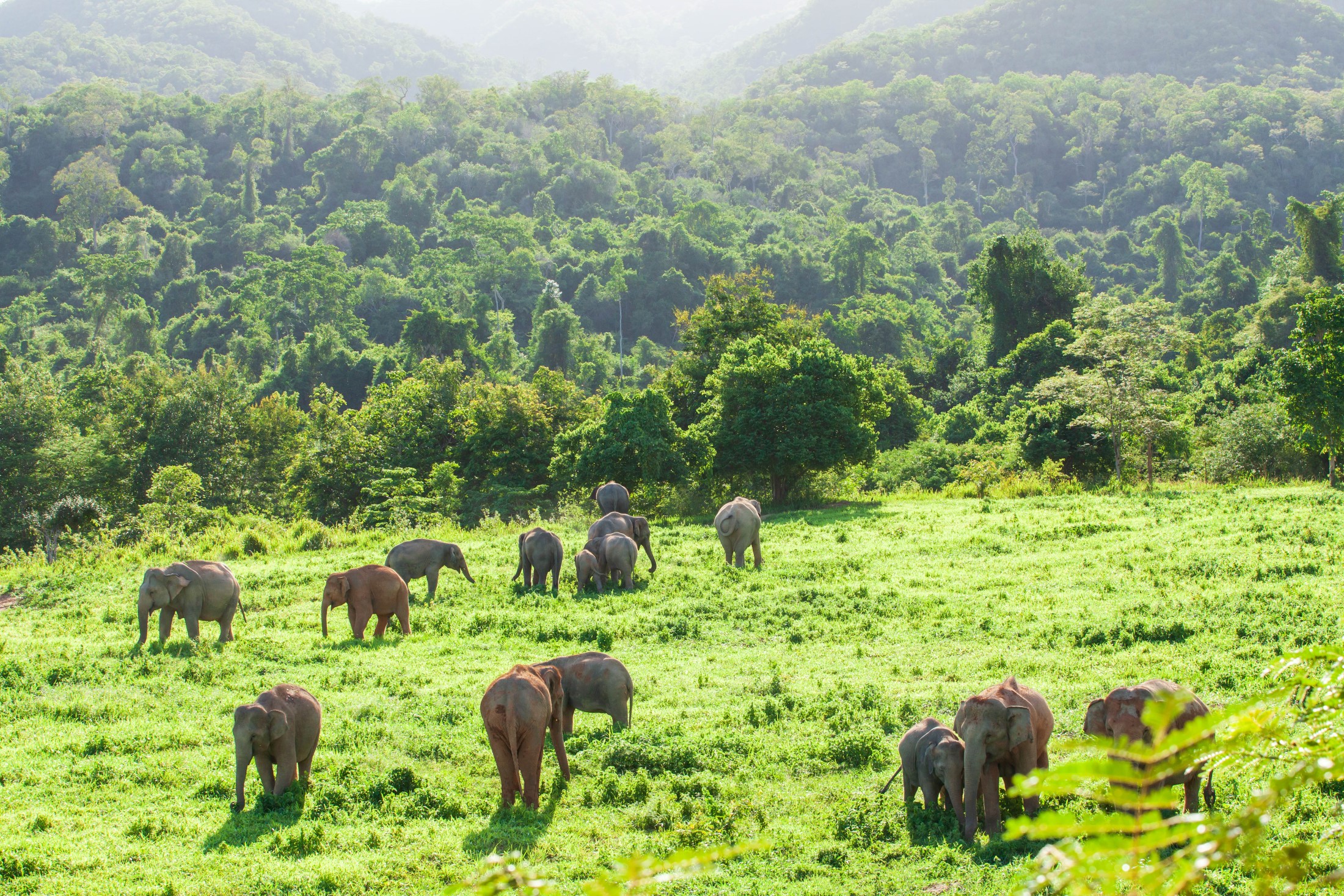 Sunbathing and Forest Bathing: Family Fun in "Prachuap Khiri Khan - Chumphon"