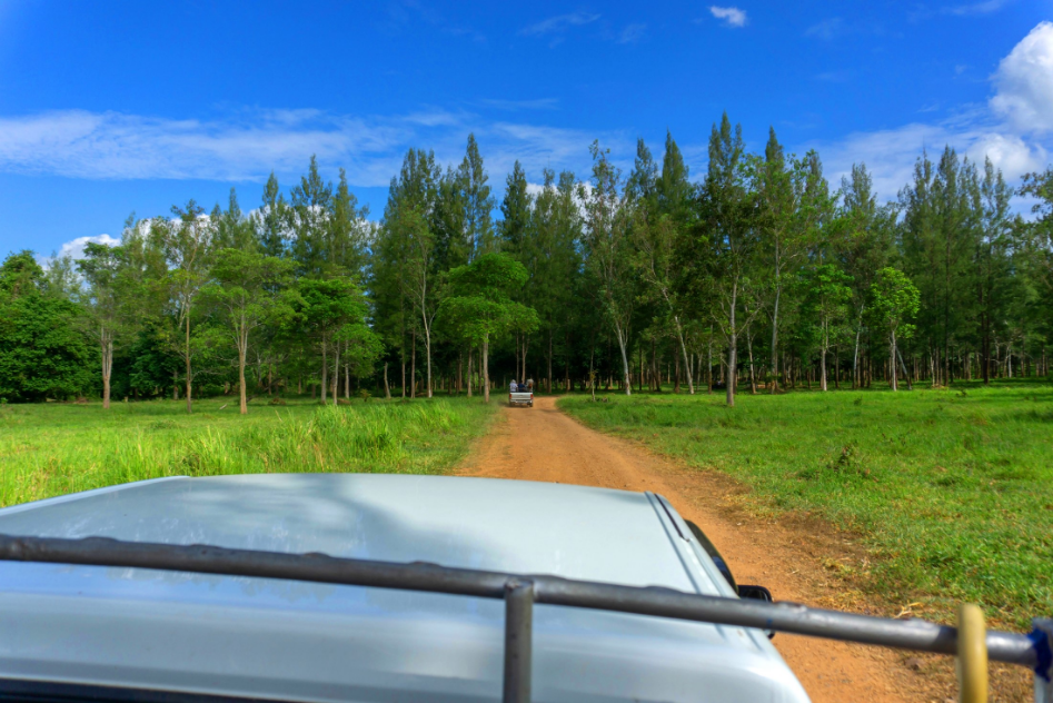 Sunbathing and Forest Bathing: Family Fun in "Prachuap Khiri Khan - Chumphon"