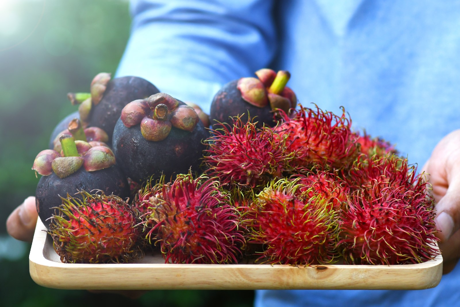 Chanthaburi - Rayong: Soak yourself in tropical fruits heaven and lush greenery