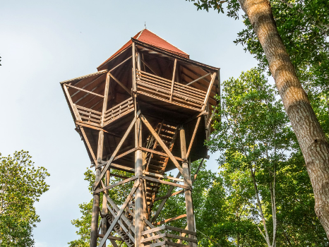 Chanthaburi - Rayong: Soak yourself in tropical fruits heaven and lush greenery