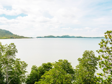 Chanthaburi - Rayong: Soak yourself in tropical fruits heaven and lush greenery