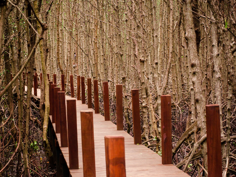 Chanthaburi - Rayong: Soak yourself in tropical fruits heaven and lush greenery