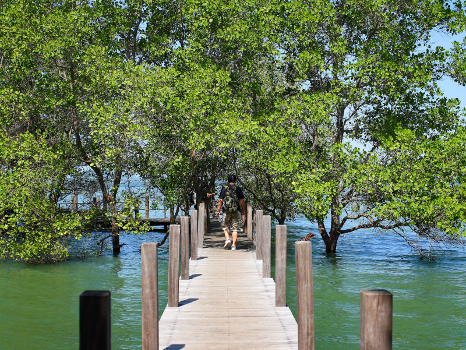 Chanthaburi - Rayong: Soak yourself in tropical fruits heaven and lush greenery