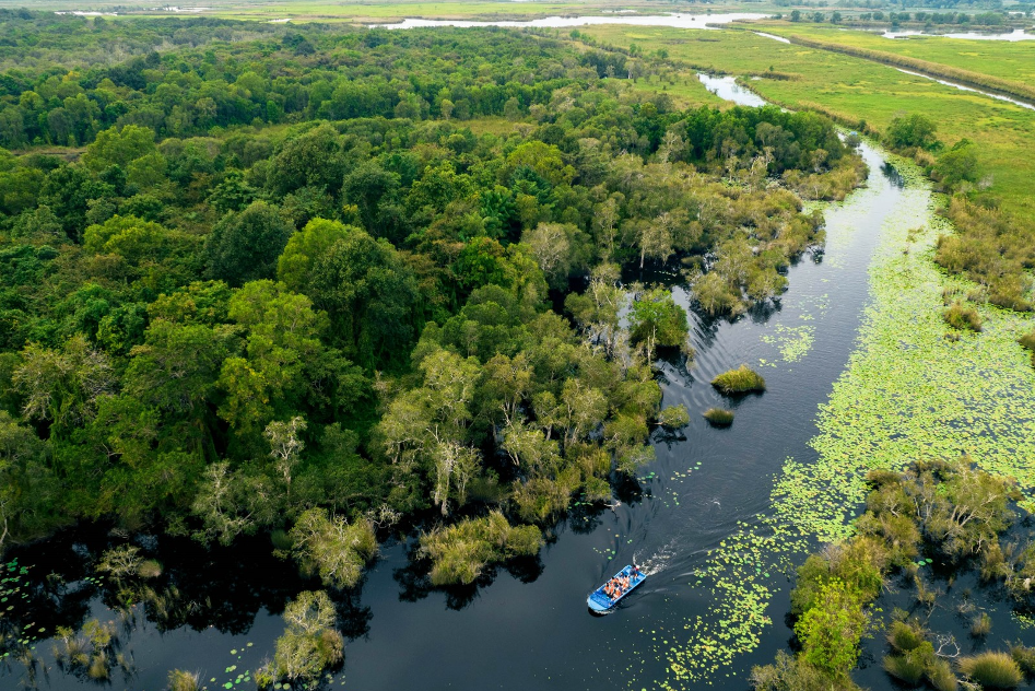 Chanthaburi - Rayong: Soak yourself in tropical fruits heaven and lush greenery