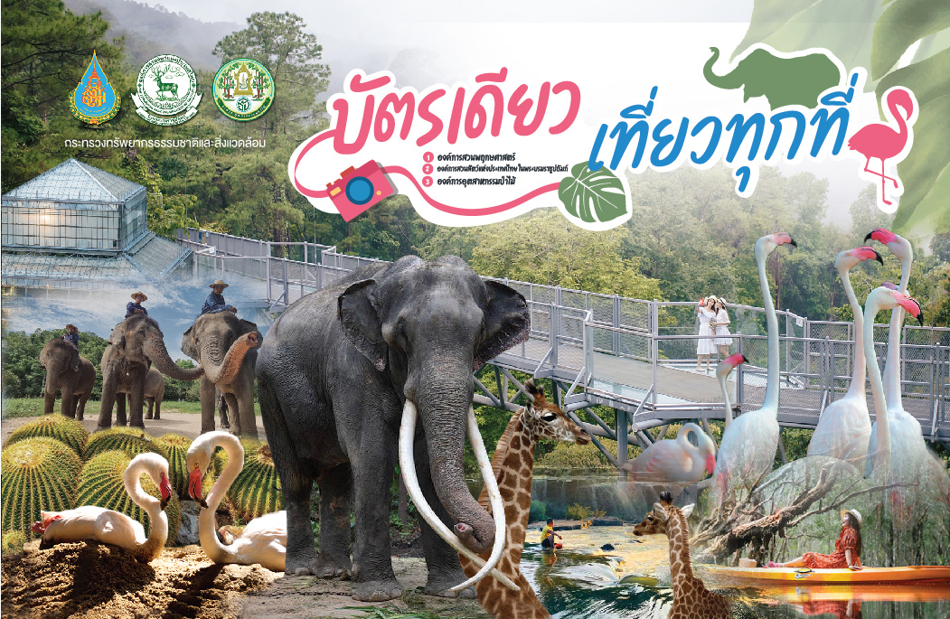 บัตรเดียว เที่ยวทุกที่