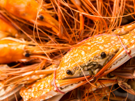Finding Rest and Blessings in Chonburi and Chachoengsao