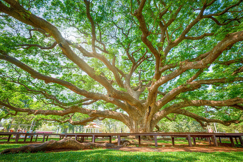 Kanchanaburi - Suphan Buri Slow Travel, See More!