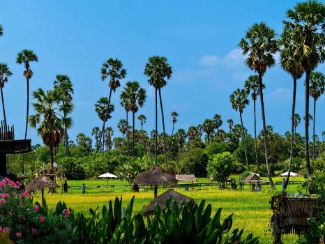 Eat & Meet Overnight Trip: Bangkok - Nonthaburi - Pathum Thani