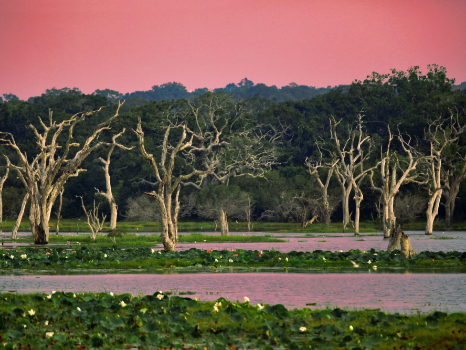 Rayong First Time? 2D1N Discovery Road Trip Rayong and Chanthaburi