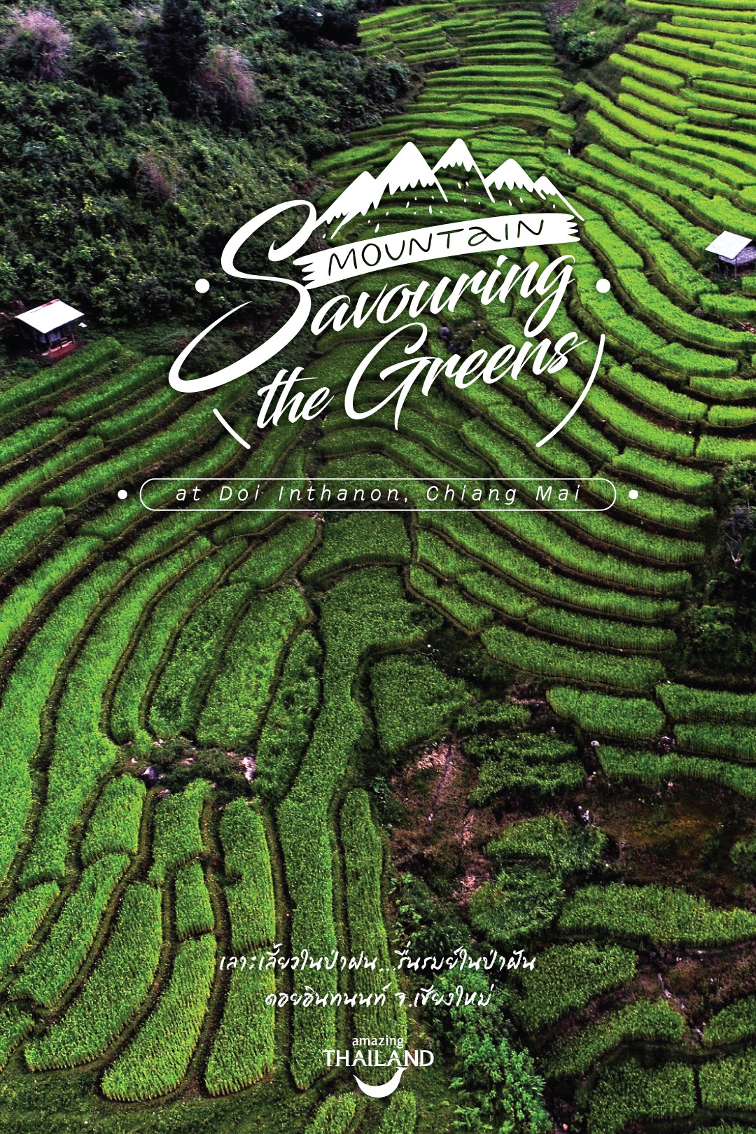 Mountain Savouring the Greens at Doi Inthanon, Chiang Mai