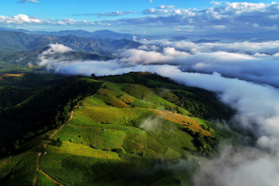 Mountain Savouring the Greens at Doi Inthanon, Chiang Mai