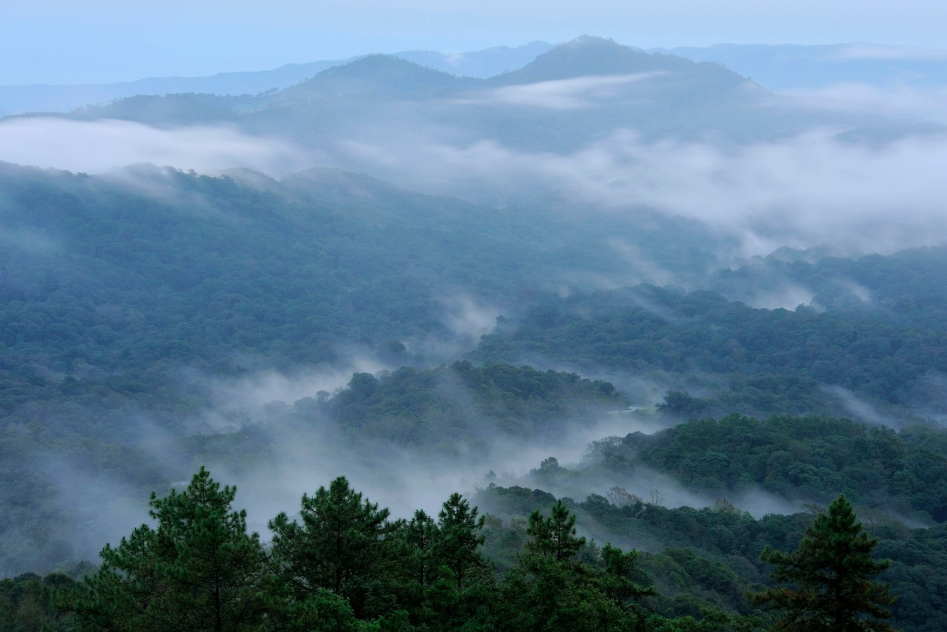 Mountain Savouring the Greens at Doi Inthanon, Chiang Mai