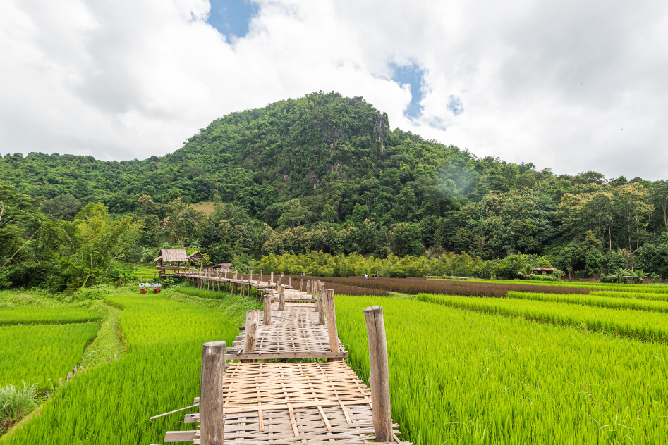 Green Route ... Phrae