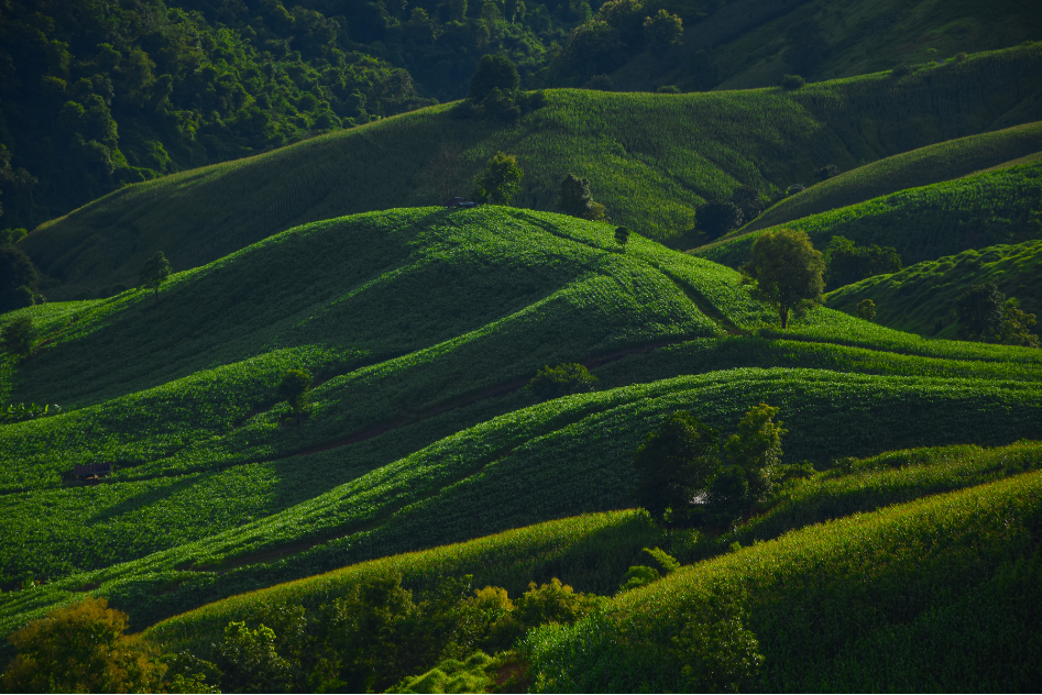 Green Route ... Phrae