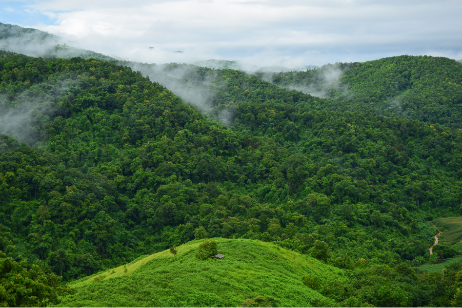 Green Route ... Phrae