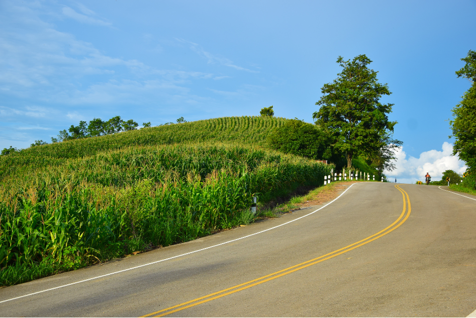 Green Route ... Phrae