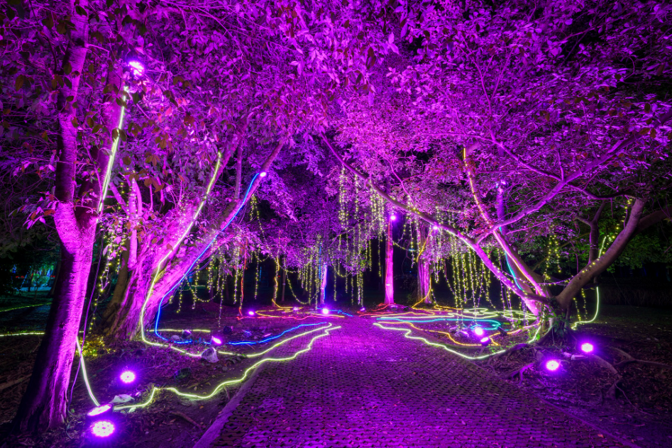 Colors of Light, San Kamphaeng Hot Springs