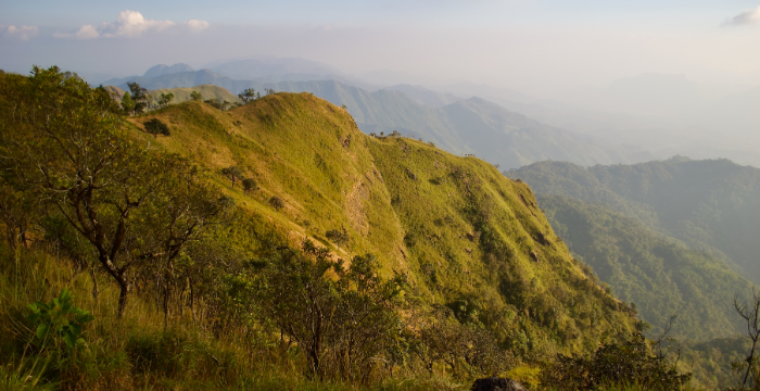 3 Can’t-miss Trekking Places in Thailand to Fulfil Your Desire of Adventure!