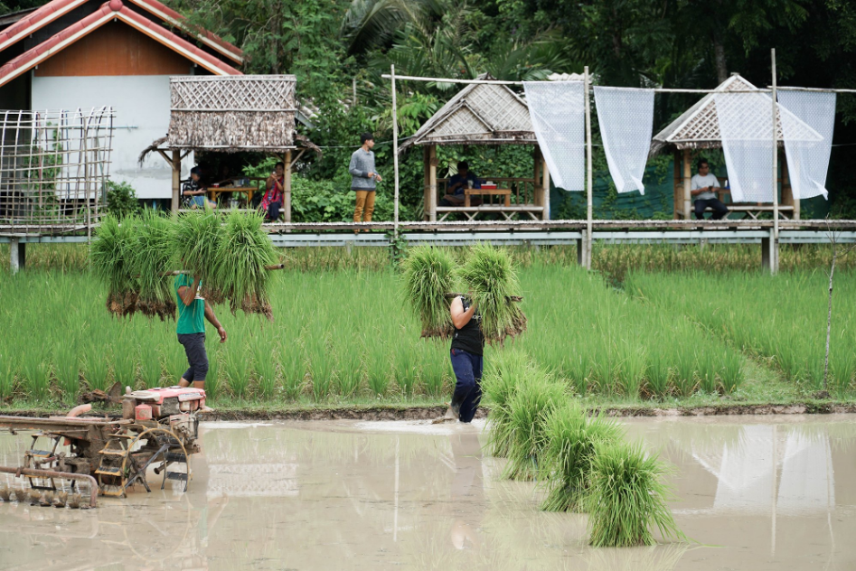 4 Cultural Places You Can’t Miss in Nakhon Si Thammarat