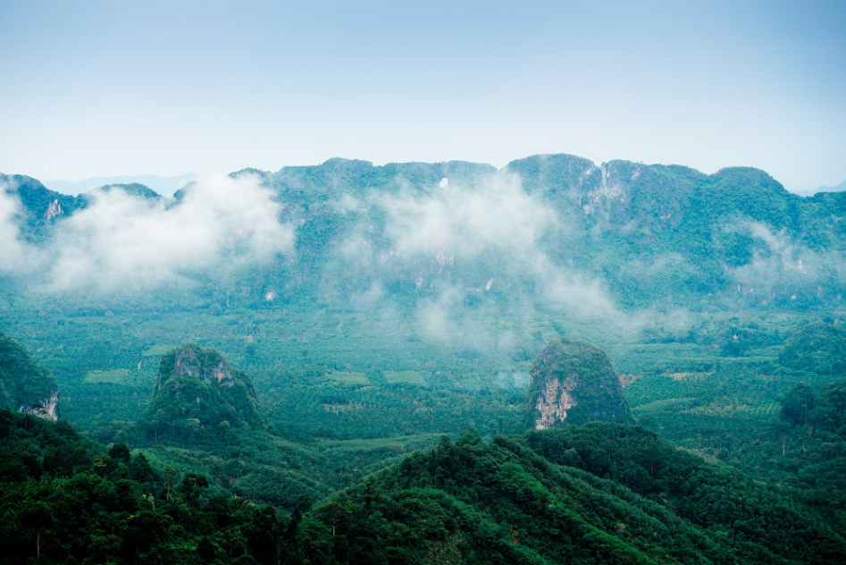Experience the 4 aspects of Chumphon: View the sea of mist on top of the mountain, pay respect to the province’s spiritual anchor and be a part of a local fishing community