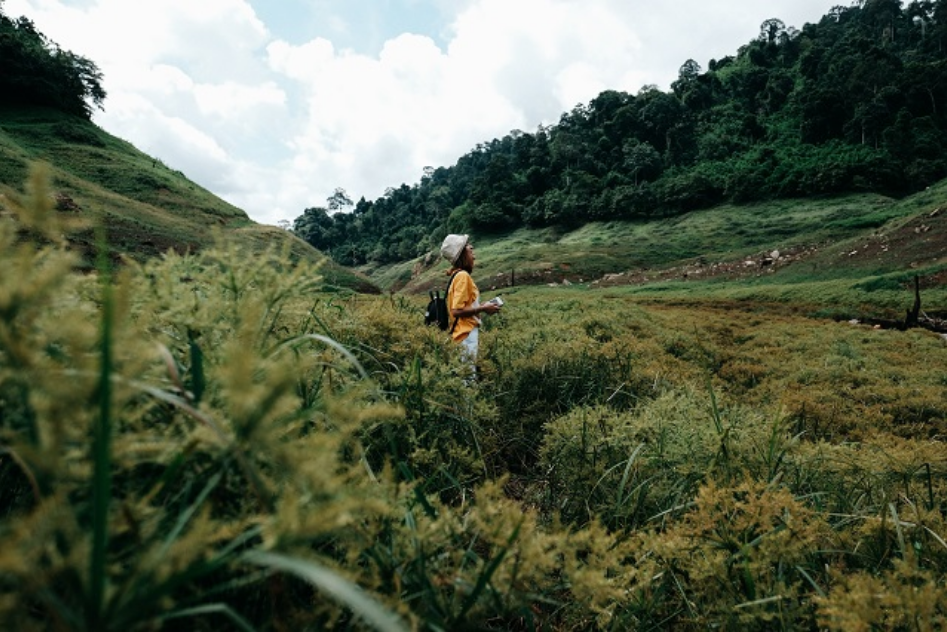 Eat, Shop, Roam, Do It All at Nakhon Nayok