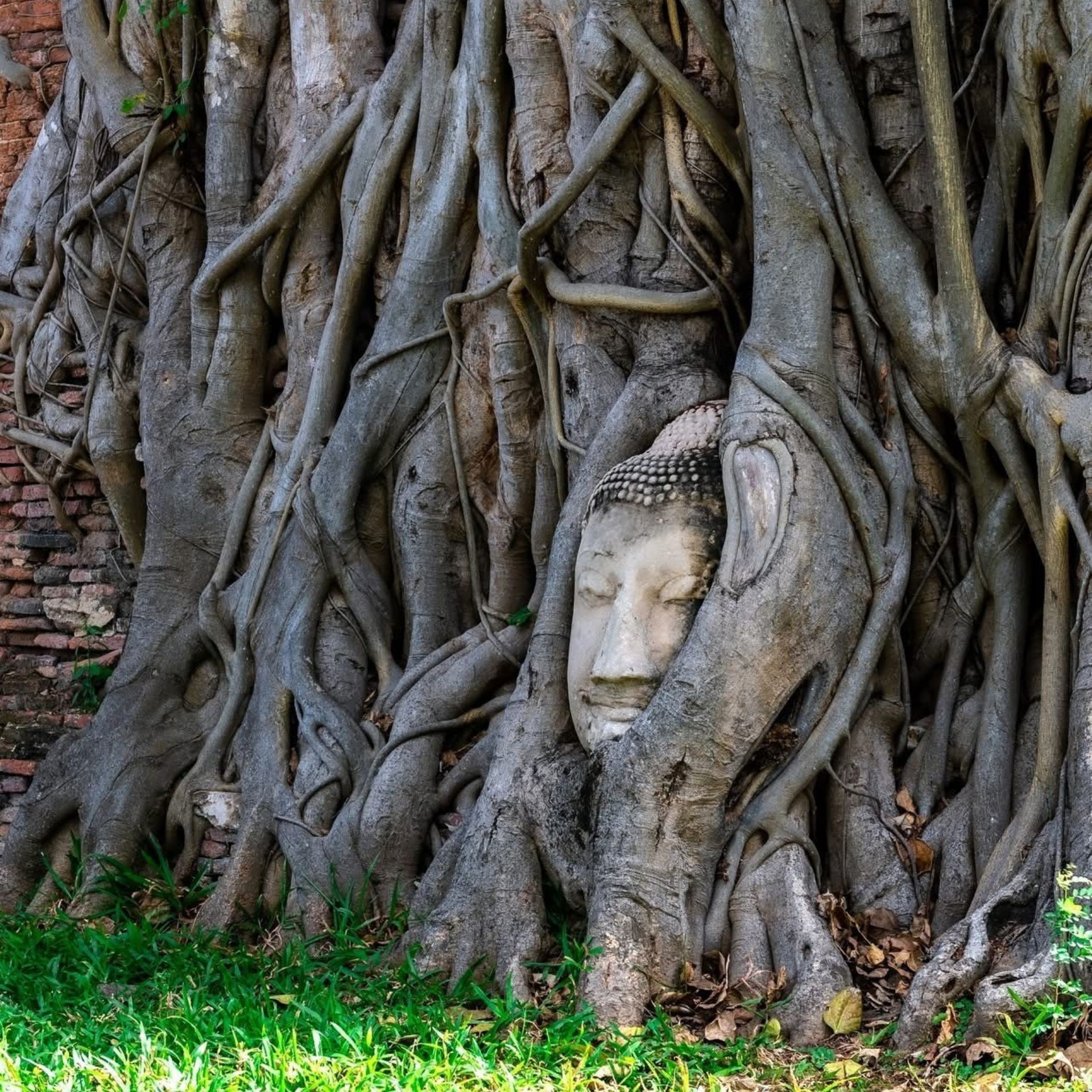 Discover 9 Sacred Mahathat Temples for Blessings