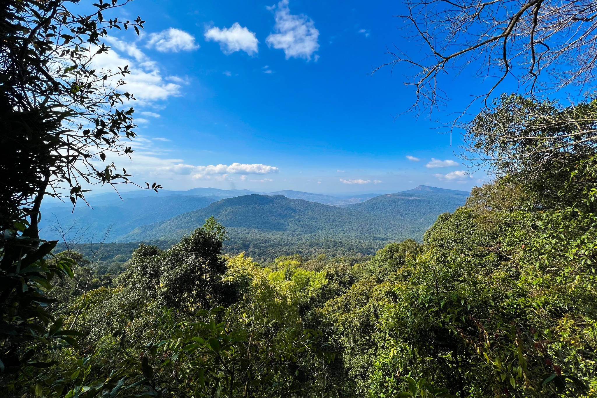 "Phu Luang" Garden of Paradise in the Northeastern of Thailand