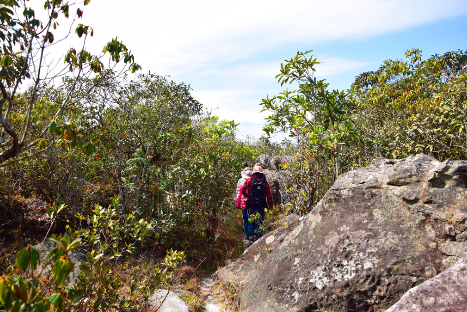 "Phu Luang" Garden of Paradise in the Northeastern of Thailand