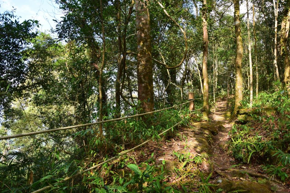 "Phu Luang" Garden of Paradise in the Northeastern of Thailand