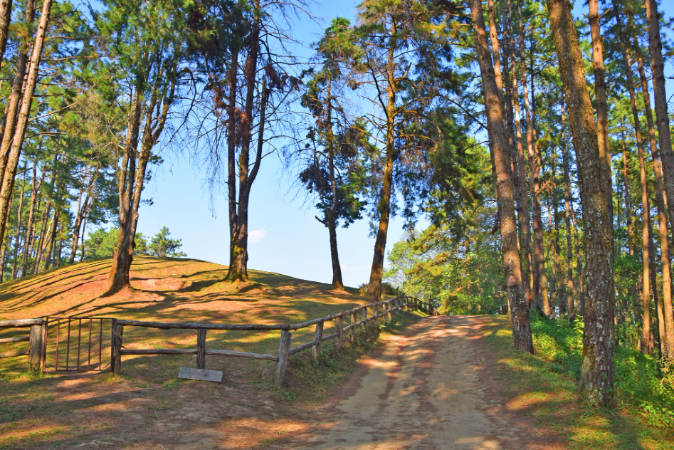 San Pa Kia, Doi Mae Taman in Chiang Mai