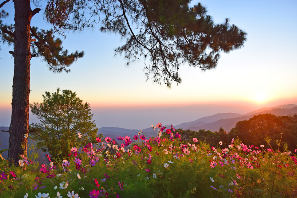 San Pa Kia, Doi Mae Taman in Chiang Mai