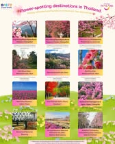 Flower-spotting destinations in Thailand