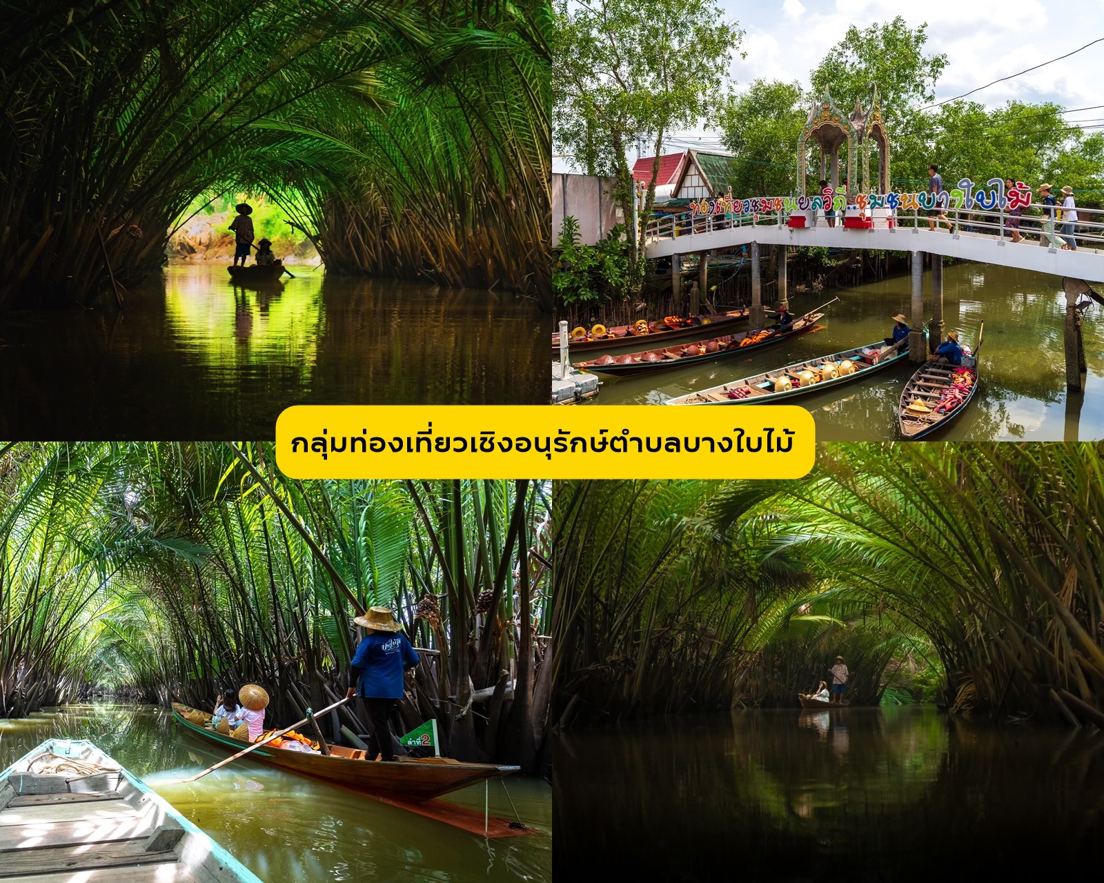 A Different Side of Surat Thani: No Sea Required