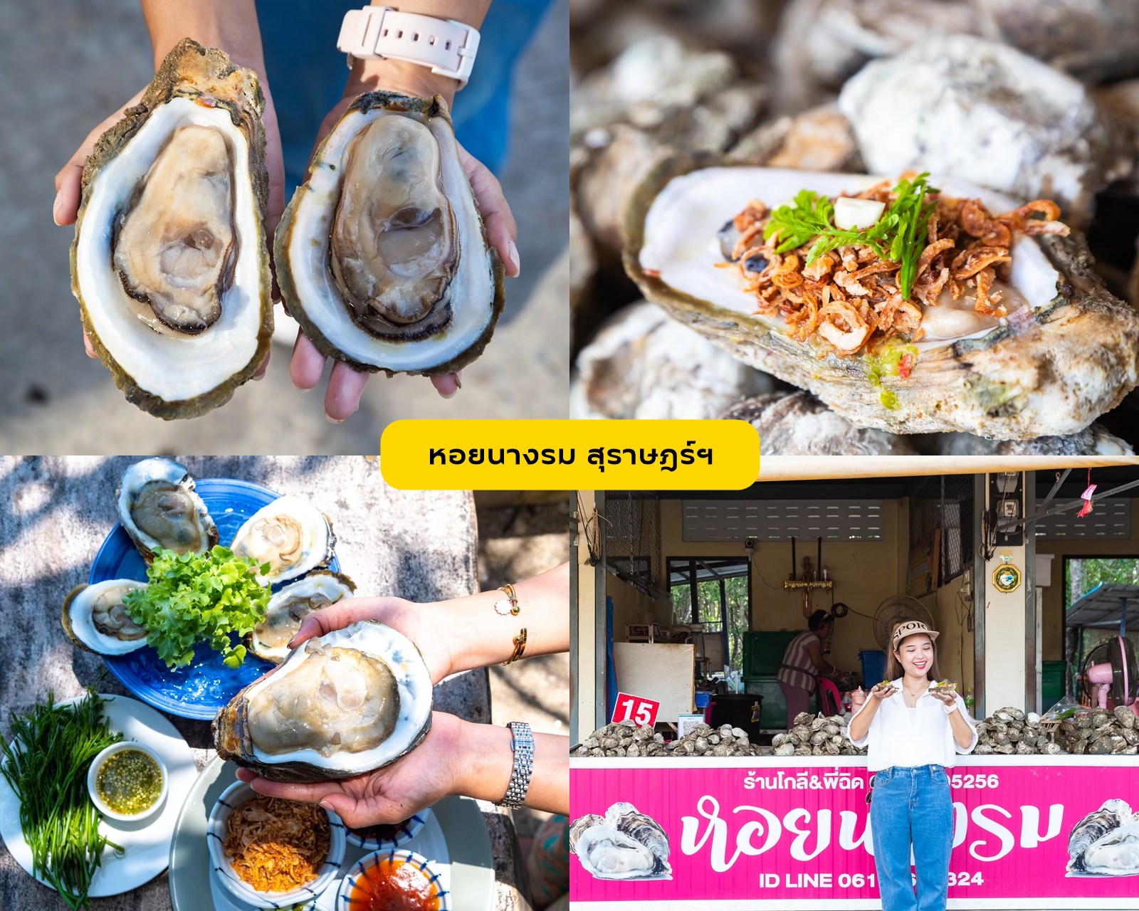 A Different Side of Surat Thani: No Sea Required