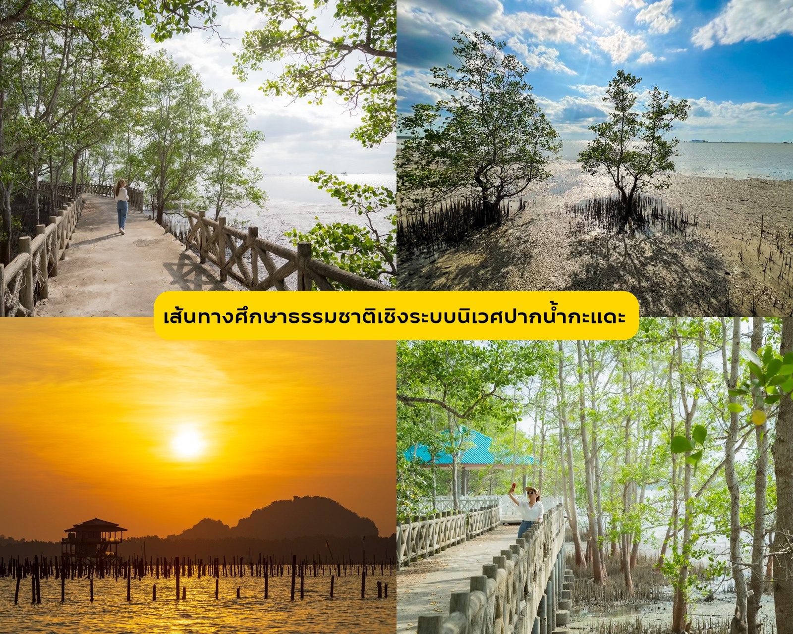 A Different Side of Surat Thani: No Sea Required