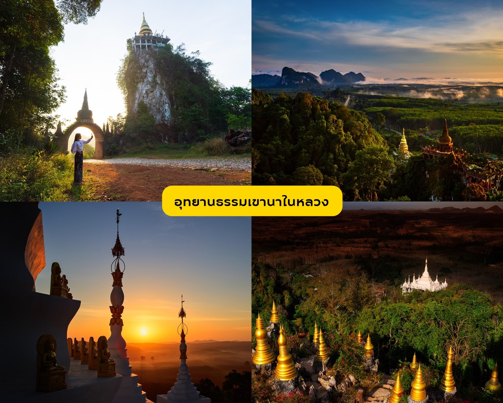 A Different Side of Surat Thani: No Sea Required