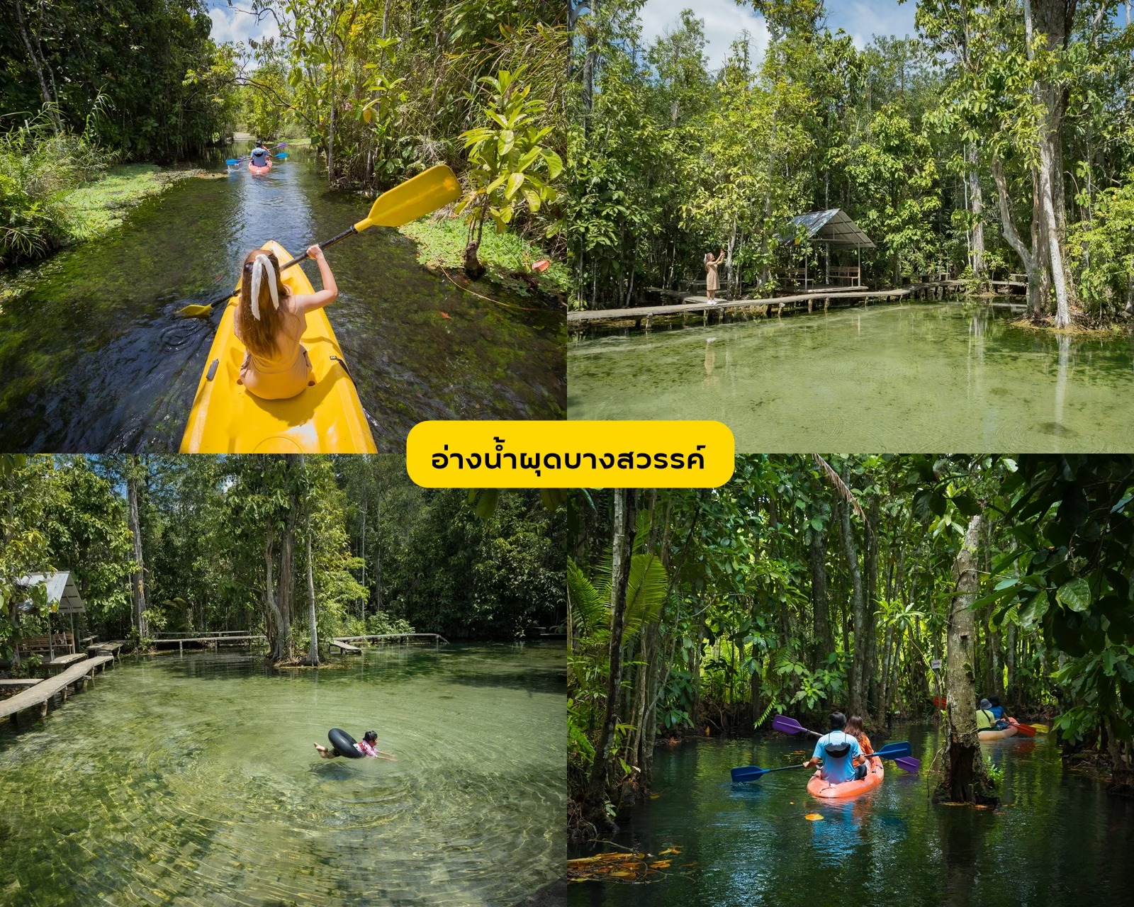 A Different Side of Surat Thani: No Sea Required
