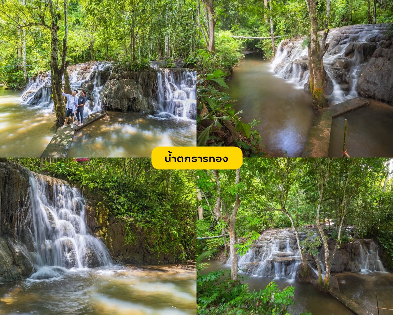 A Different Side of Surat Thani: No Sea Required