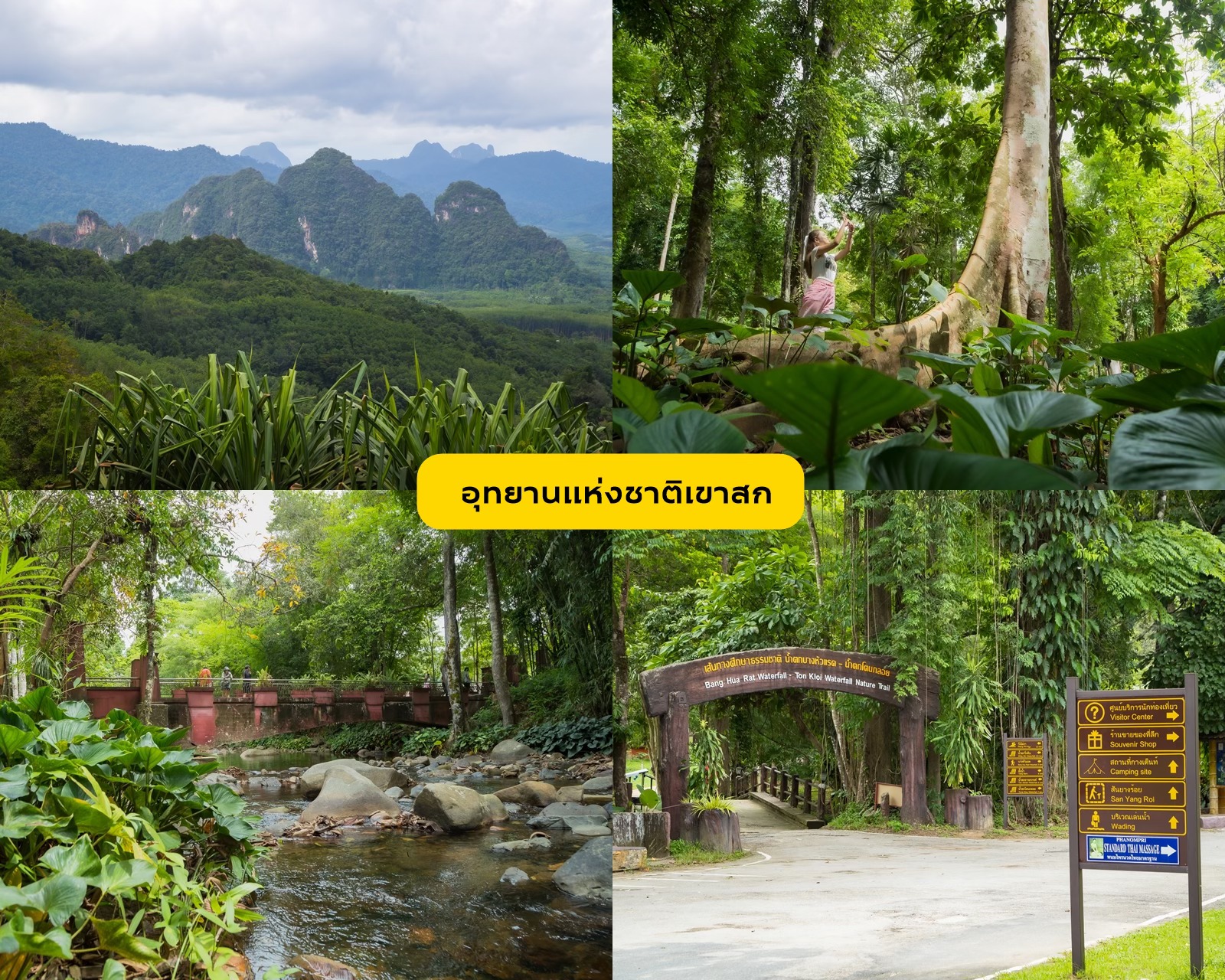 A Different Side of Surat Thani: No Sea Required
