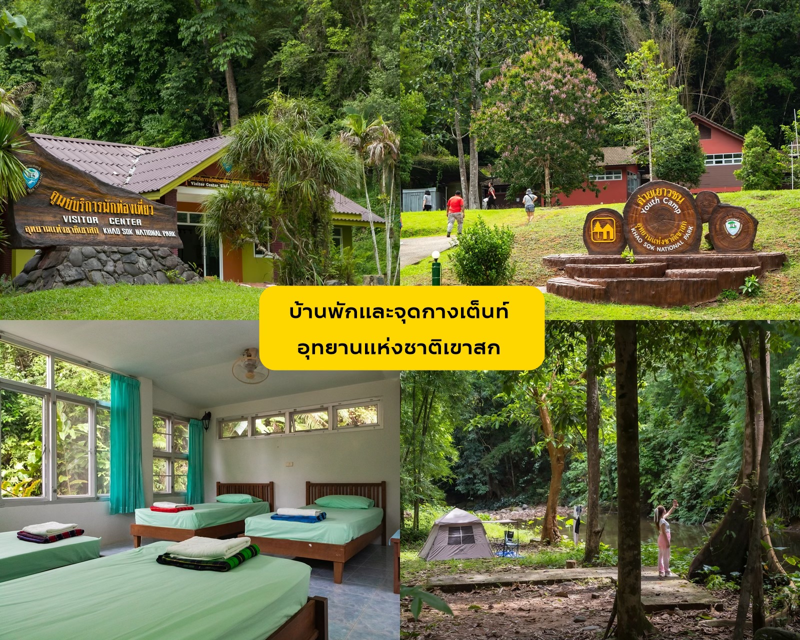 A Different Side of Surat Thani: No Sea Required
