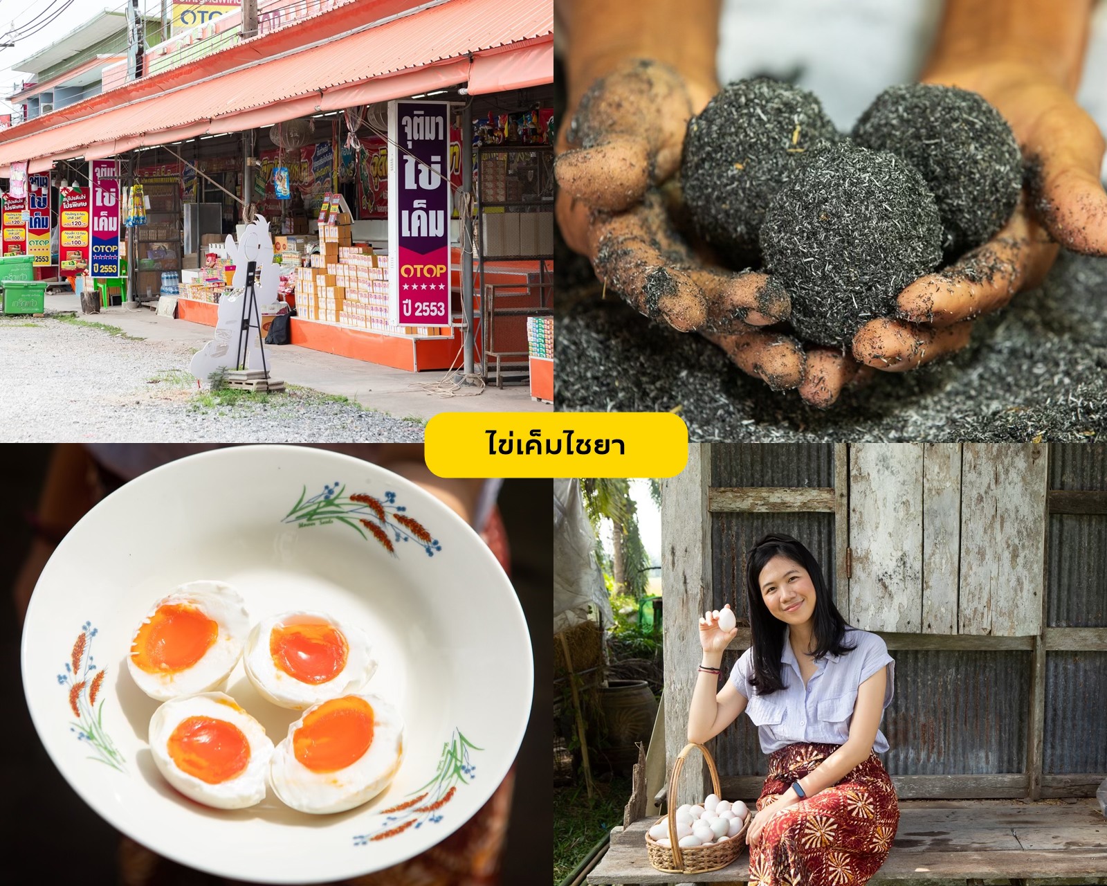 A Different Side of Surat Thani: No Sea Required
